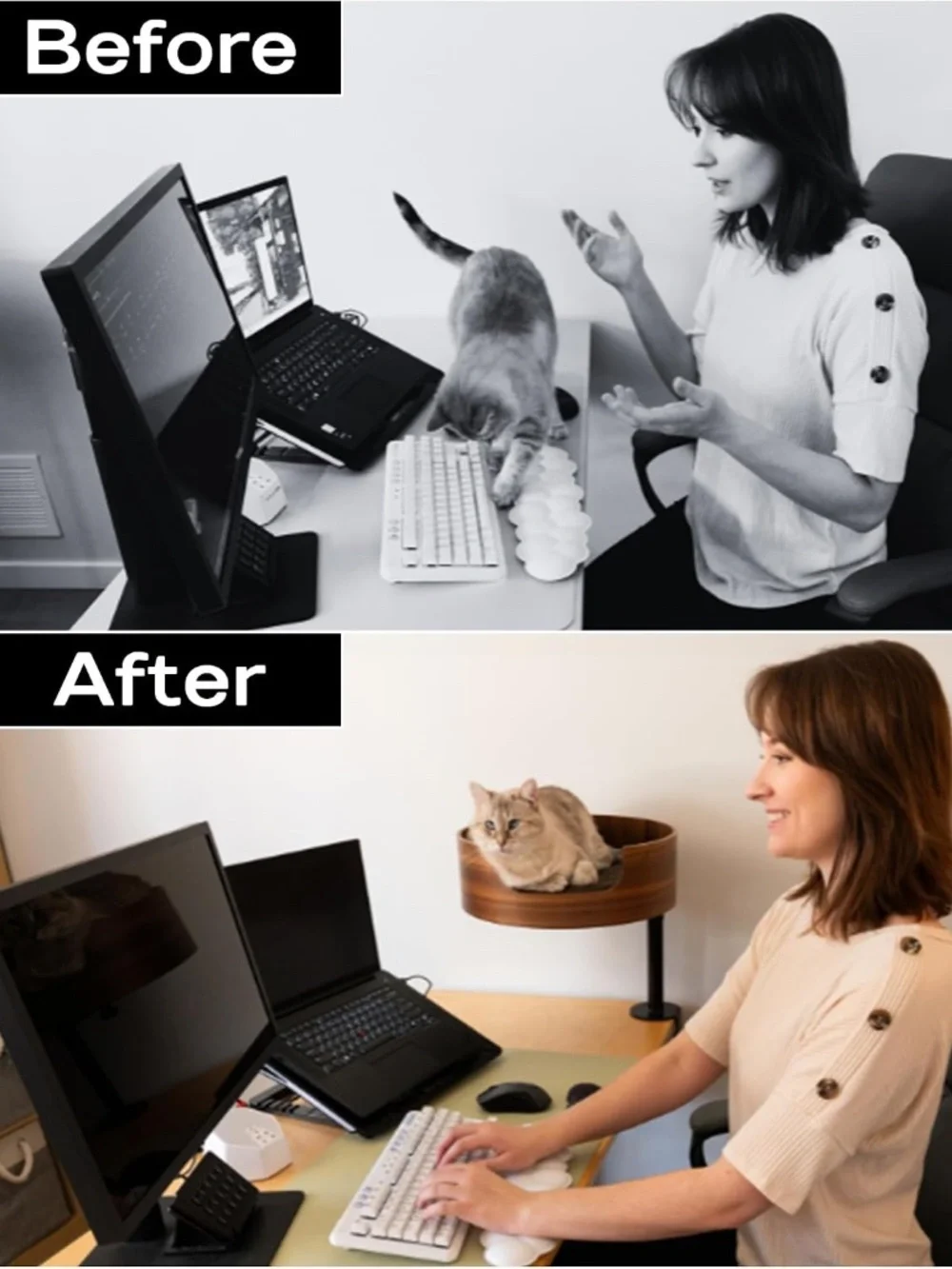 The Original Desk Mounted Cat Bed $179 amazon